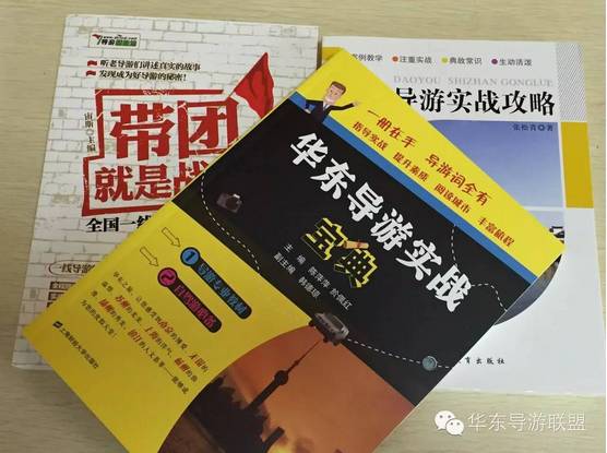 香港免费正版资料宝典，全面解析新方案_高端UIQ394.07版