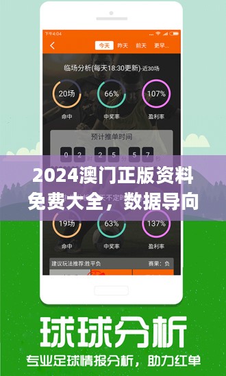 2024澳新正版资料解析，大师版GXK674.56数据详释