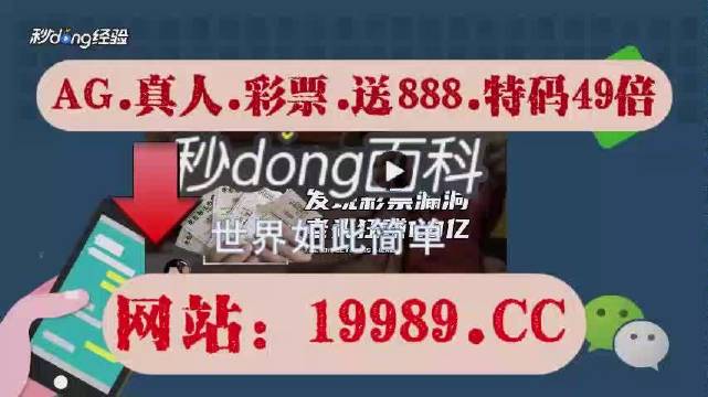 2024澳门天天六开彩免费资料,彩民需要进行数据分析