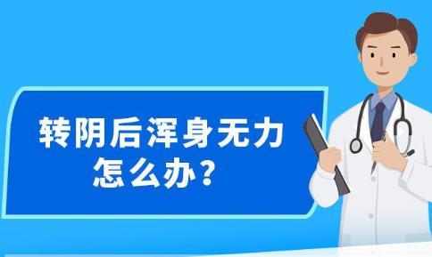 新澳精准资料大全免费,效率资料解释落实_WearOS46.354