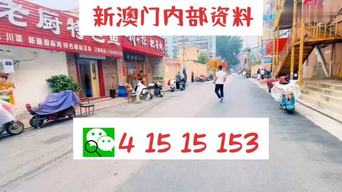 2024年新澳门天天开彩,为了更直观地理解＊＊2024年新澳门天天开彩＊＊的实际应用